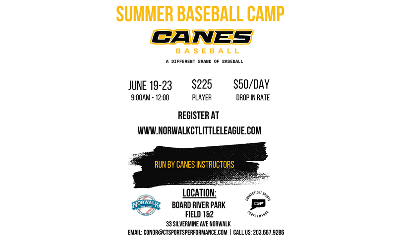 Announcing NLL Summer Baseball Camp!!  SIGN UP NOW!!!